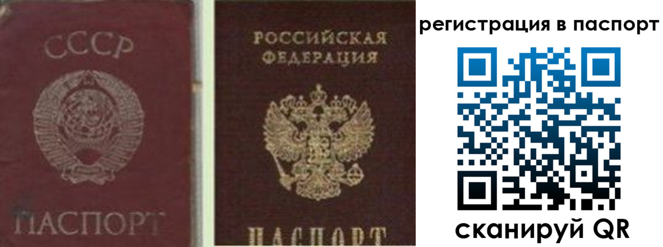 прописка для школы в Грязях